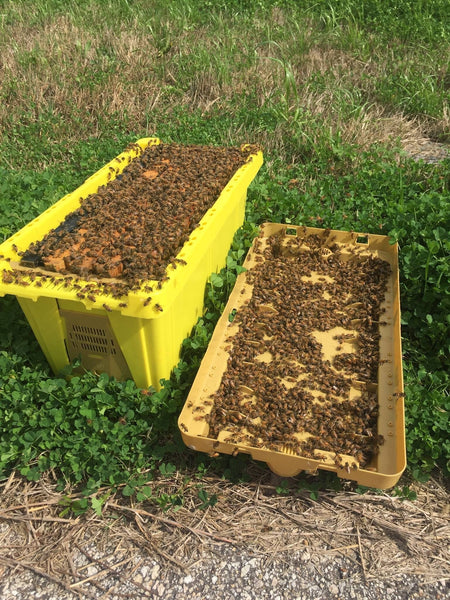2024 NUCS - Deposit